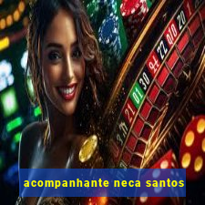 acompanhante neca santos